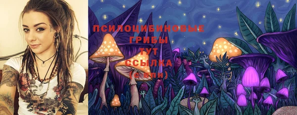 экстази Алексин