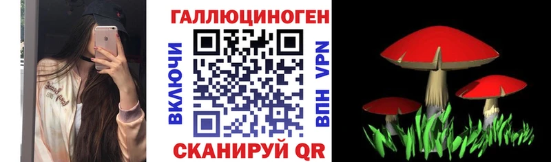 Псилоцибиновые грибы мицелий Сочи