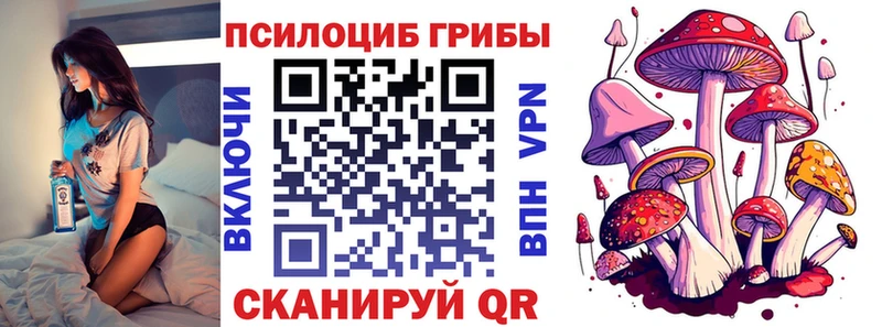 Псилоцибиновые грибы мухоморы  наркота  Сочи 
