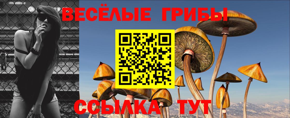 продажа наркотиков  Вход с VPN  Сочи  Галлюциногенные грибы мухоморы 