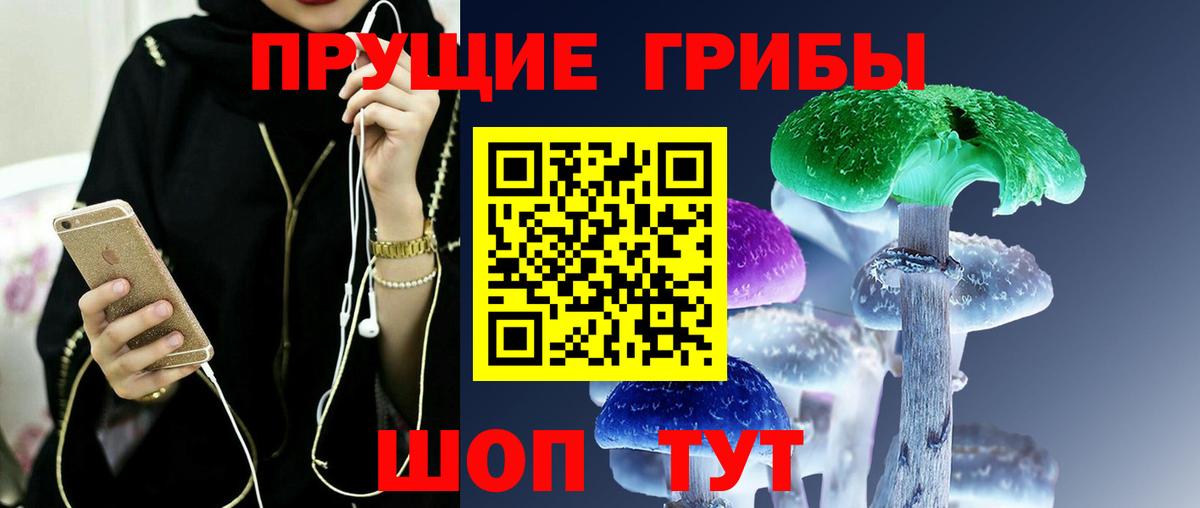 Псилоцибиновые грибы мицелий Сочи