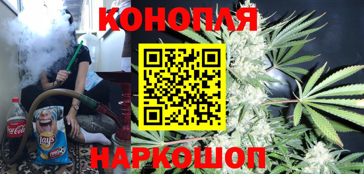 Бошки марихуана план  Вход с VPN  Конопля конопля  Сочи  Марихуана план 